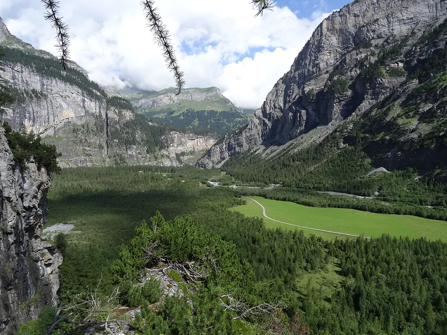 Der Talboden mit Auenwald von oben